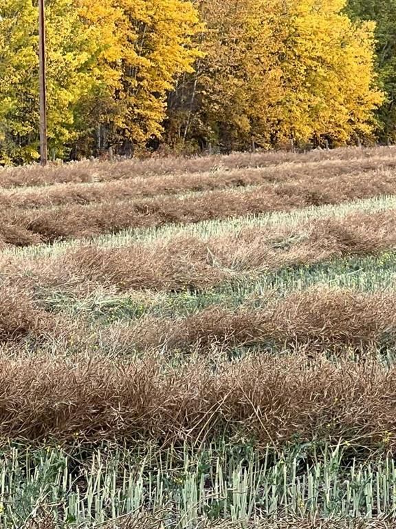 Portion of NE 2 74 9 W6 &amp; NW 2 74 9 W6   - Photo 34