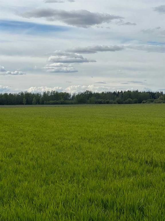 Portion of NE 2 74 9 W6 &amp; NW 2 74 9 W6   - Photo 6