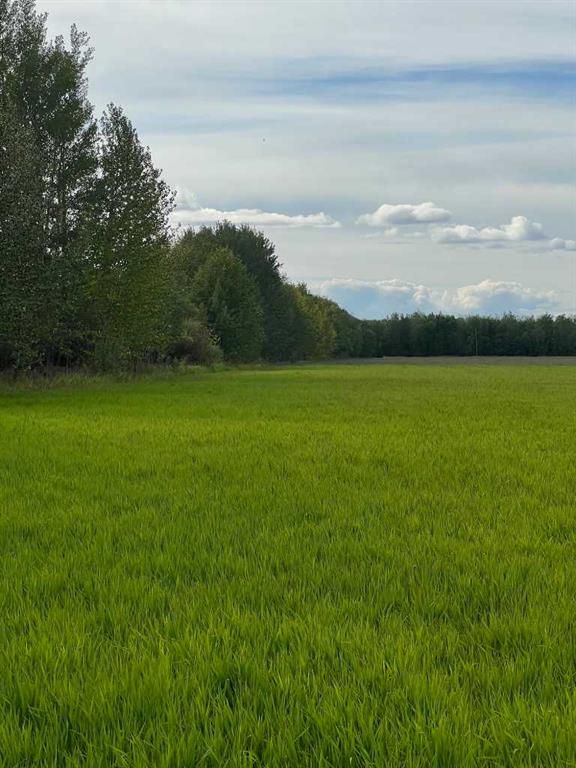 Portion of NE 2 74 9 W6 &amp; NW 2 74 9 W6   - Photo 7