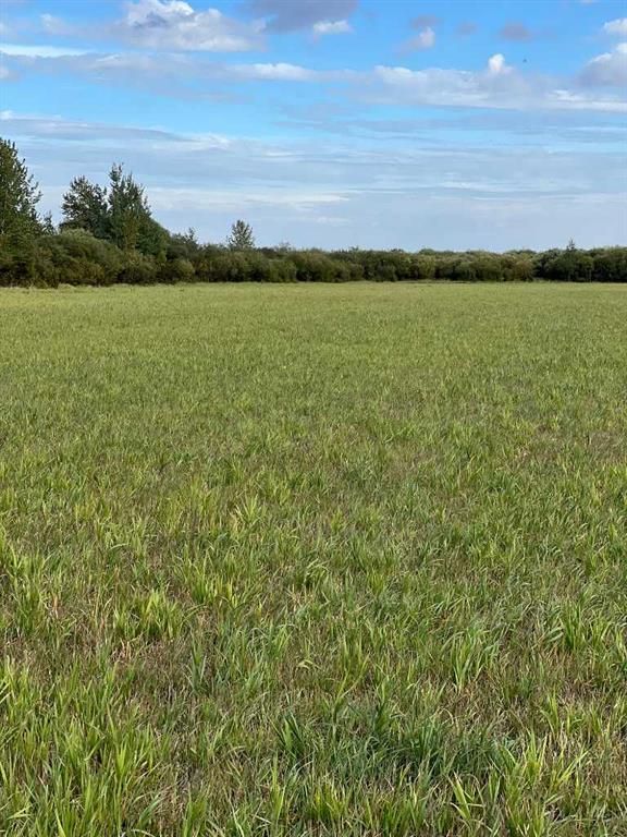 Portion of NE 2 74 9 W6 &amp; NW 2 74 9 W6   - Photo 9