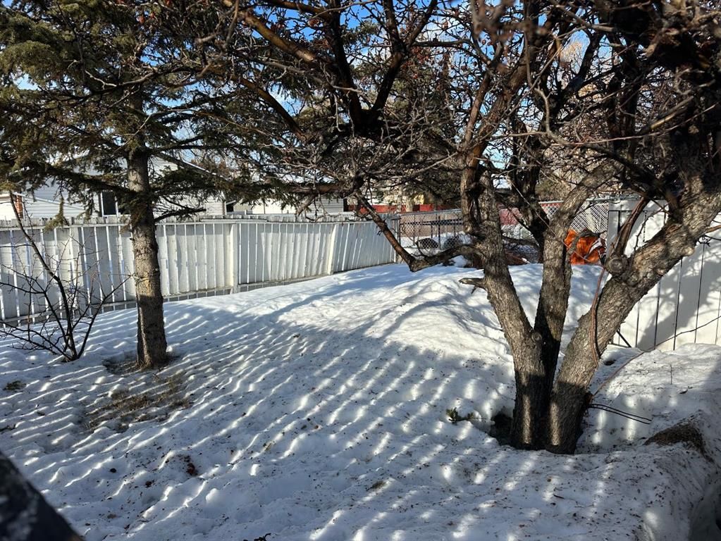 11702 94A Street  - Photo 15