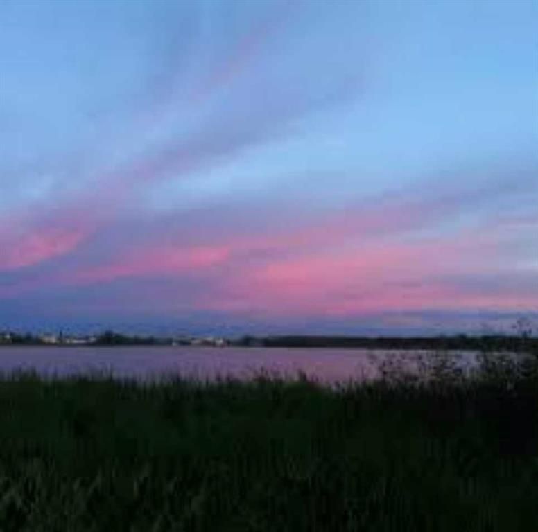 12606 Lakeshore Drive  - Photo 10