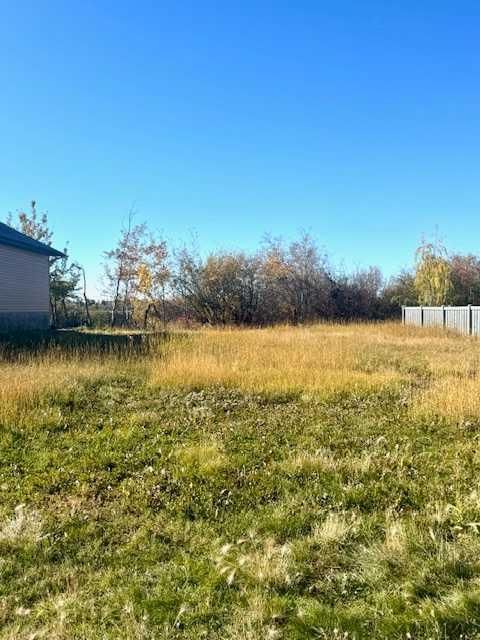 12606 Lakeshore Drive  - Photo 3