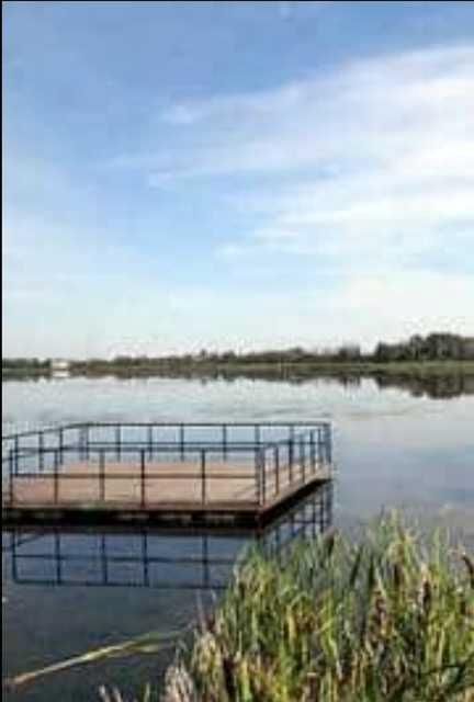 12606 Lakeshore Drive  - Photo 9