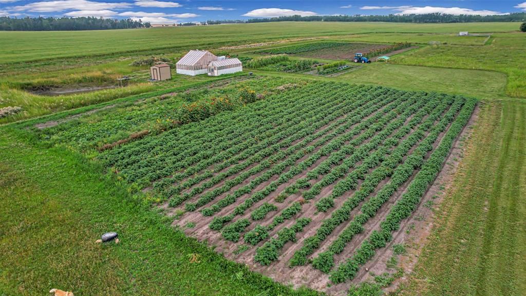 2, 100011 Twp 722 Road  - Photo 51