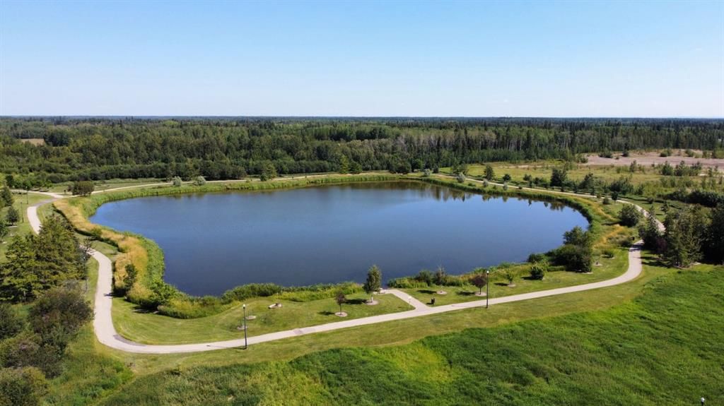 8833 60 Avenue  - Photo 12