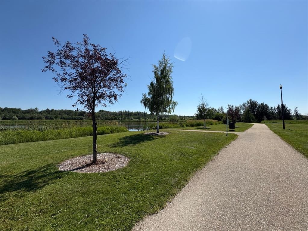 8833 60 Avenue  - Photo 8