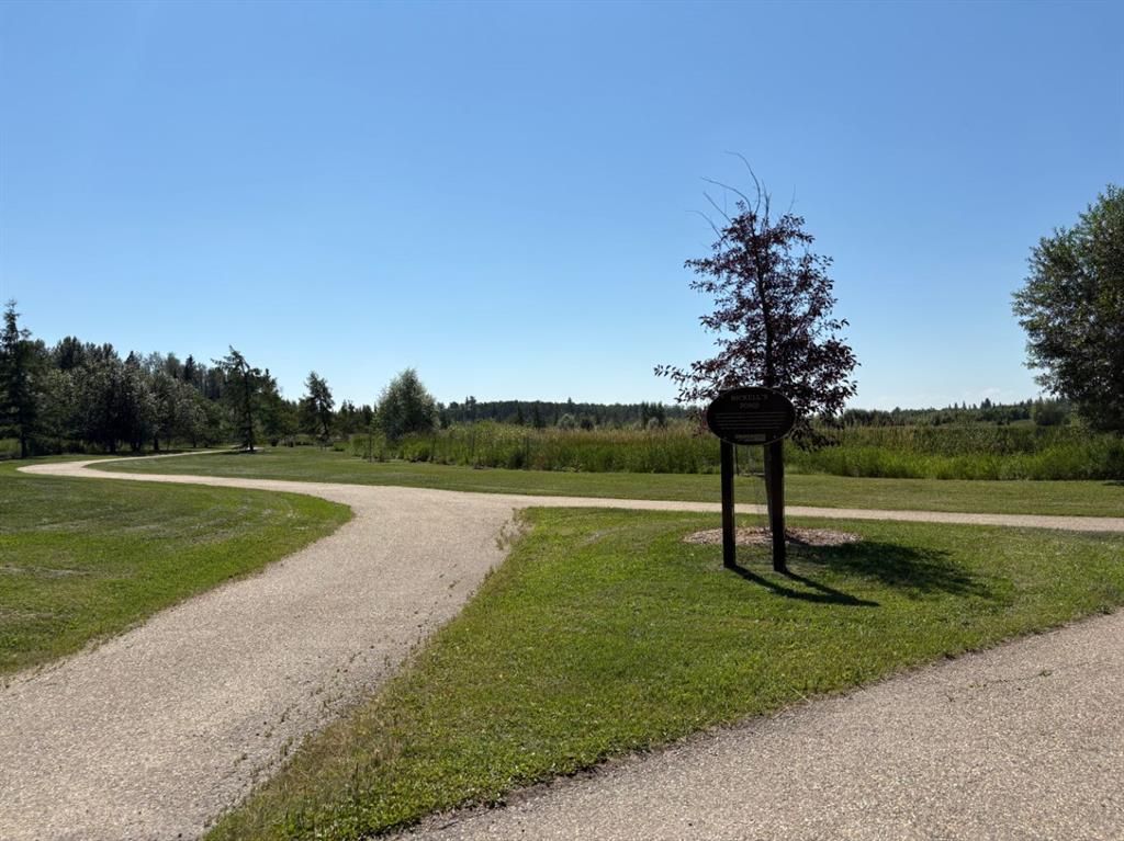 8833 60 Avenue  - Photo 9