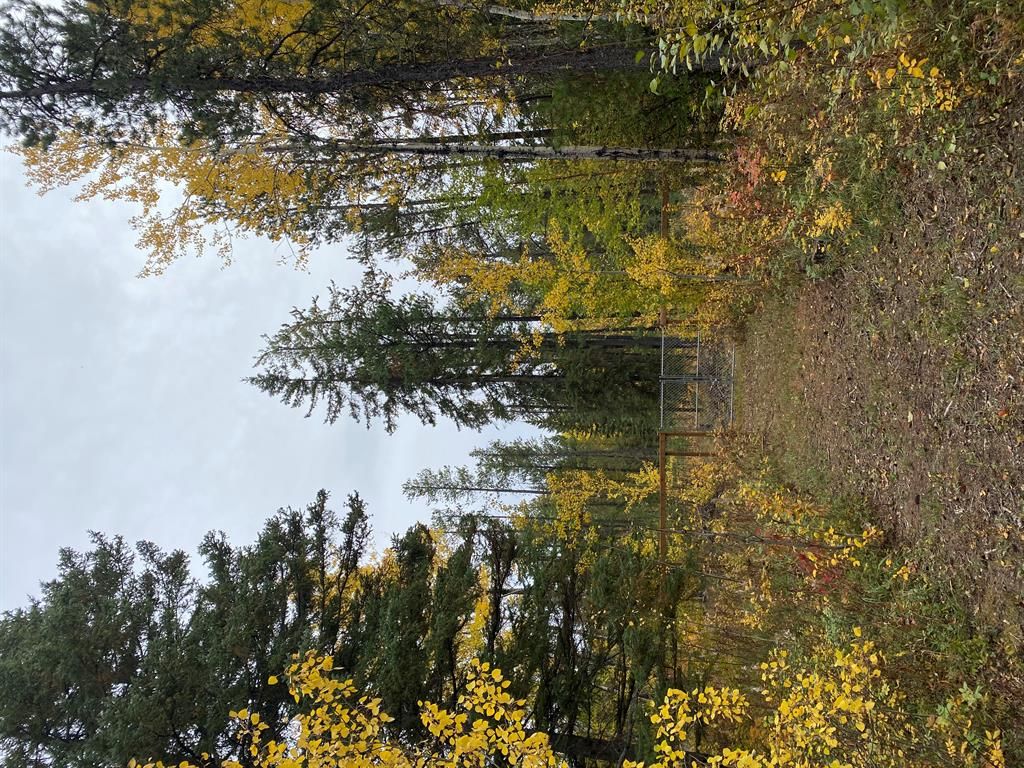 61033 704A Township  - Photo 45