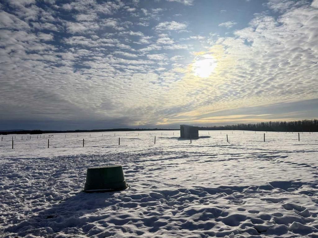 101071 Township Road 740   - Photo 26