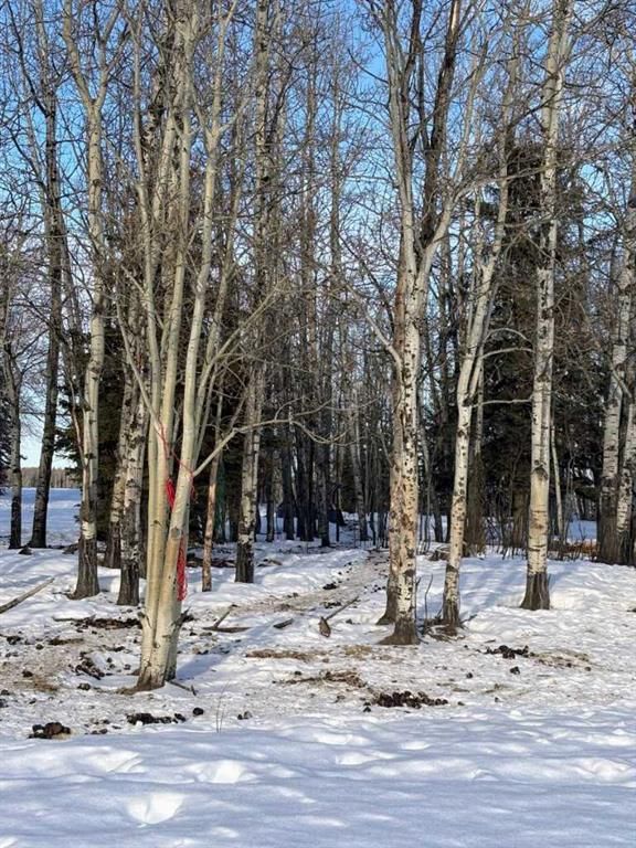 101071 Township Road 740   - Photo 30