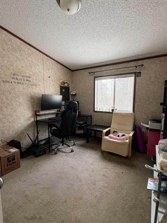 101071 Township Road 740   - Photo 9