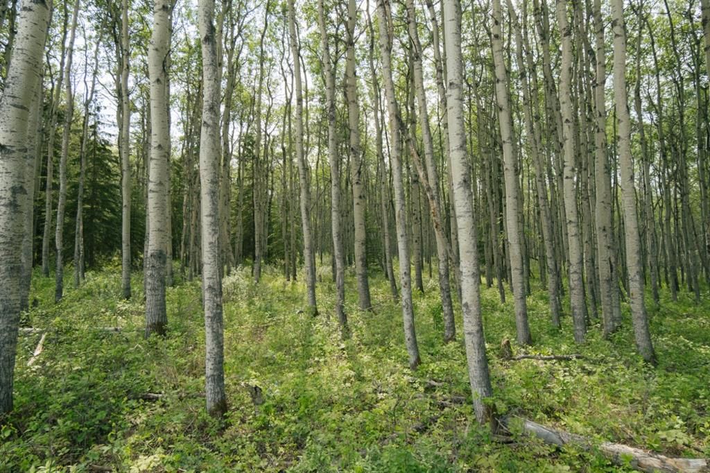 lot 3, Range Road 84 Township Road 722   - Photo 2