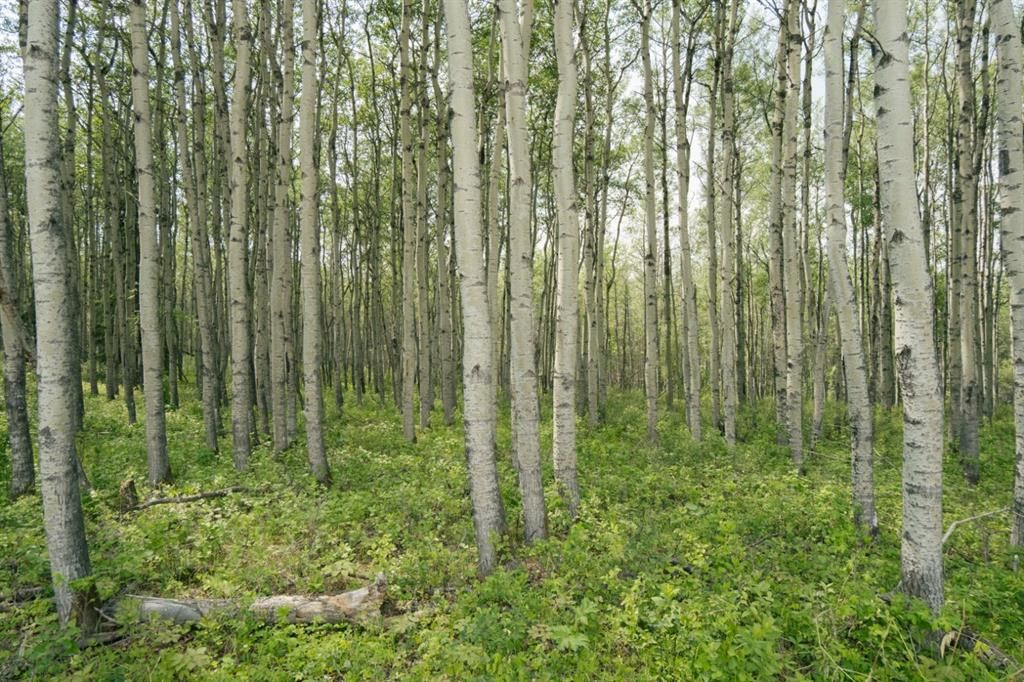 lot 3, Range Road 84 Township Road 722   - Photo 26