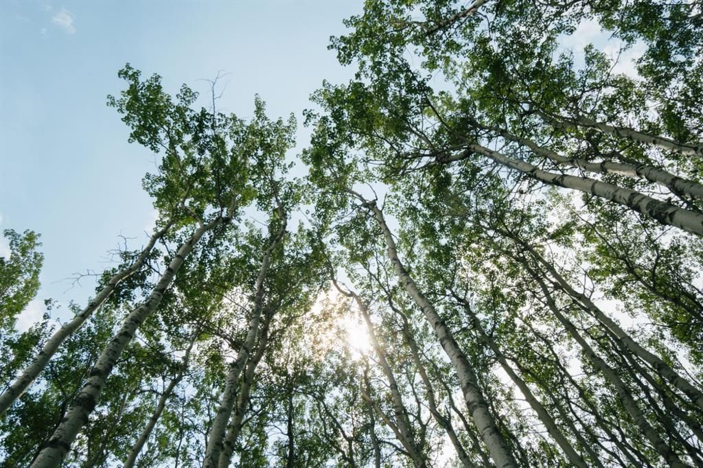 lot 3, Range Road 84 Township Road 722   - Photo 27