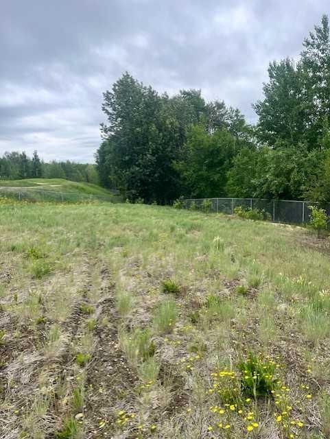 1714, 60017 Township Road 704A Township  - Photo 3