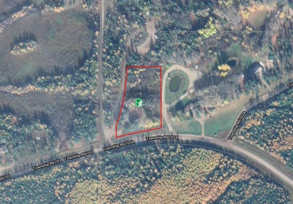  703a Township  - Photo 3