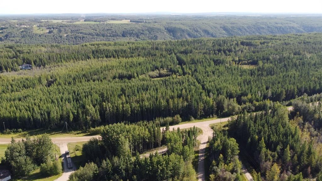  703a Township  - Photo 4