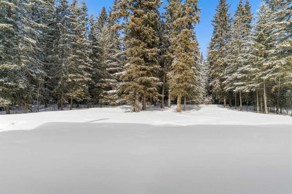 744044 Range Road 51   - Photo 36