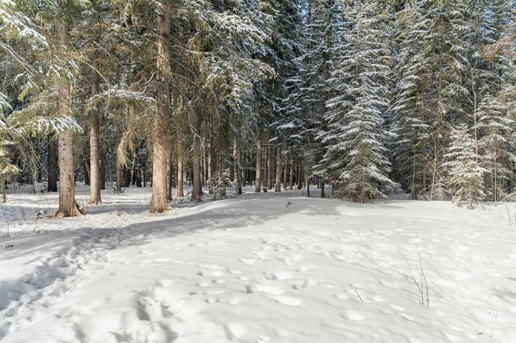 744044 Range Road 51   - Photo 37