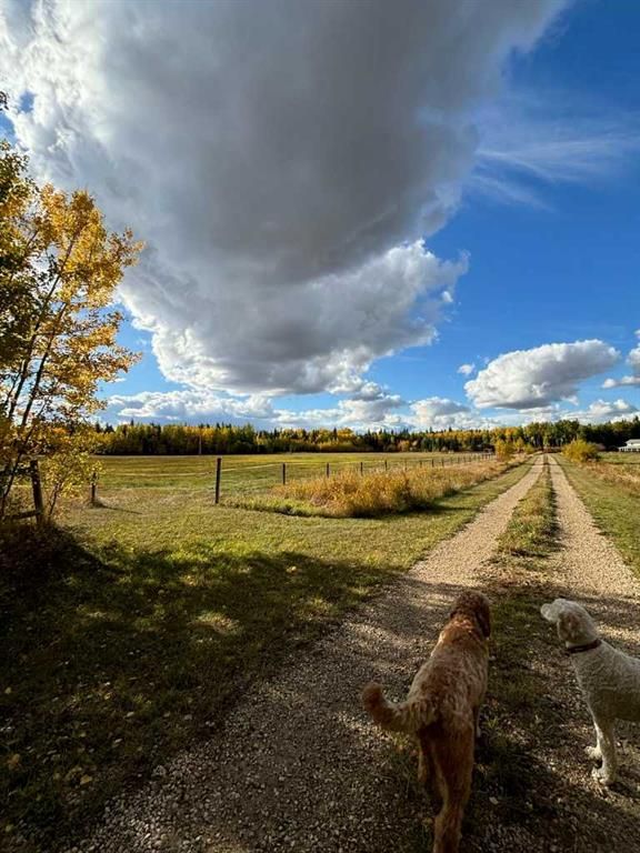 744044 Range Road 51   - Photo 41