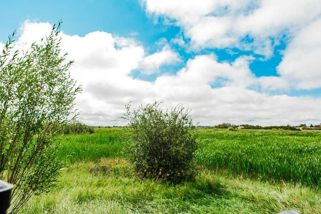 8541 102 Avenue  - Photo 42