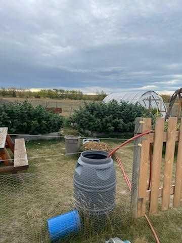 122040 Township Road 734   - Photo 3