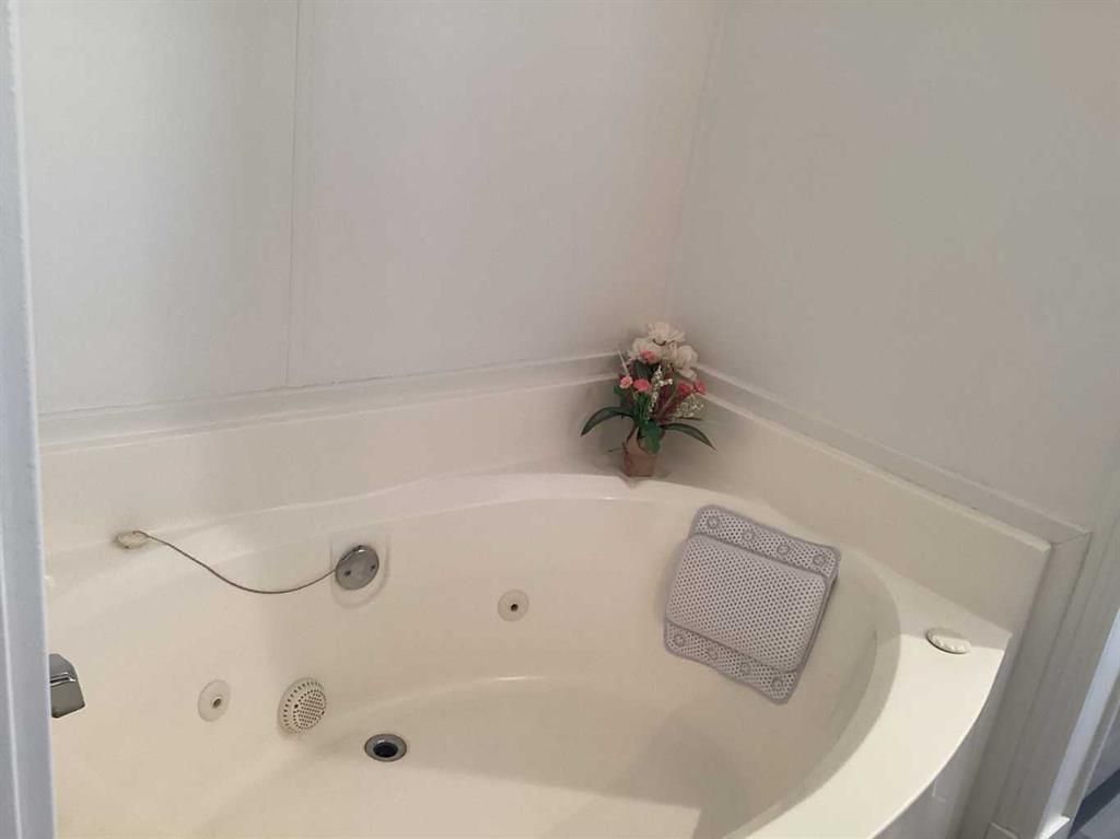 386 Scott Lane  - Photo 26