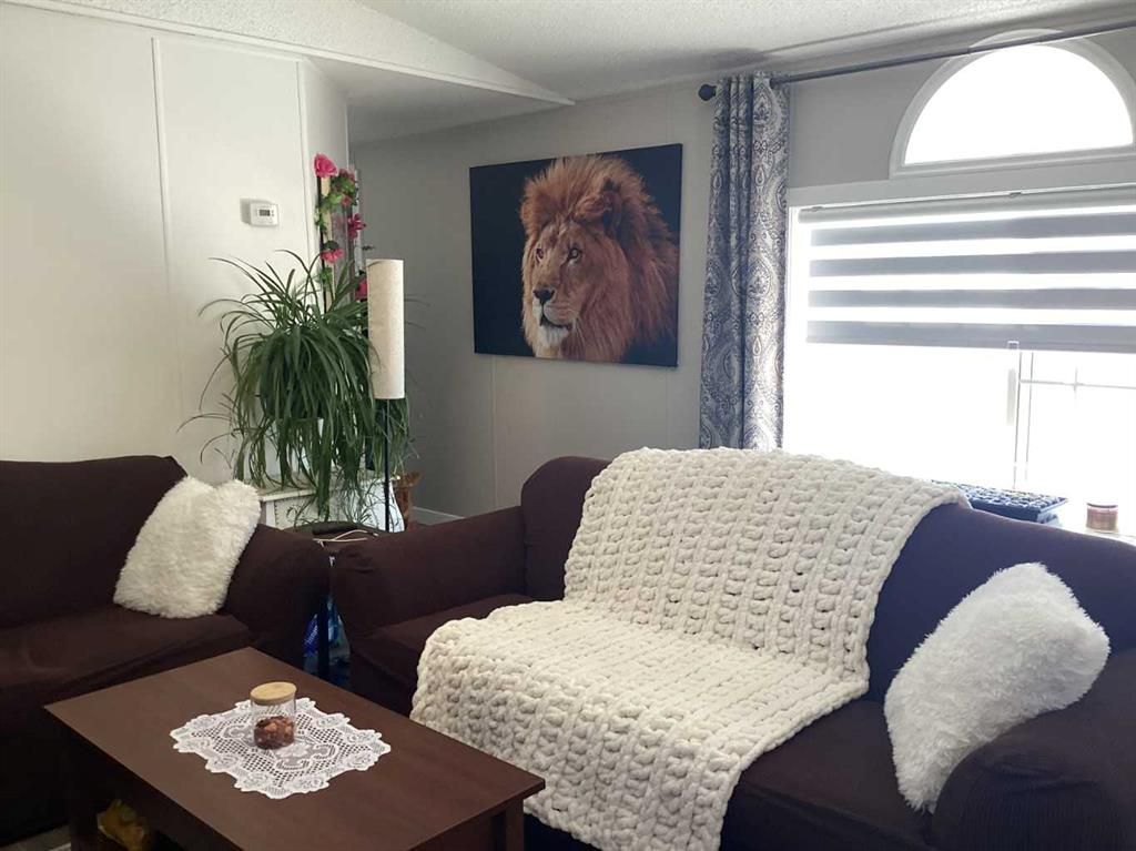 386 Scott Lane  - Photo 8