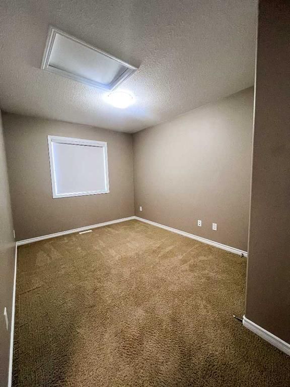 10210 85A Street  - Photo 19