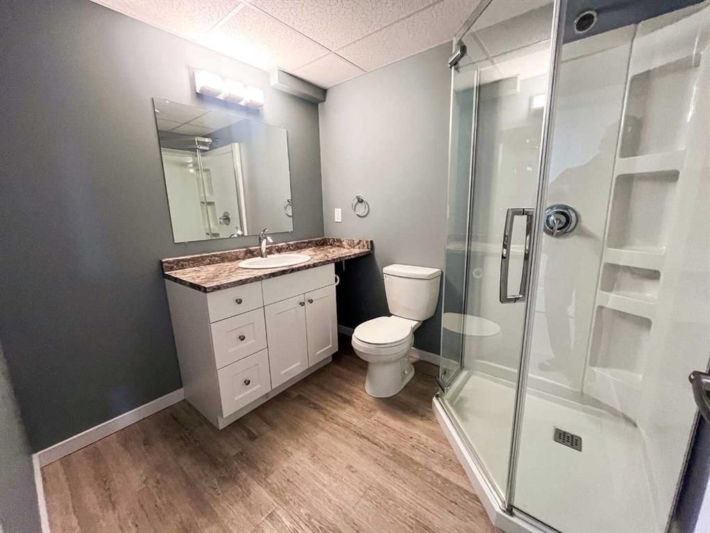 10210 85A Street  - Photo 28