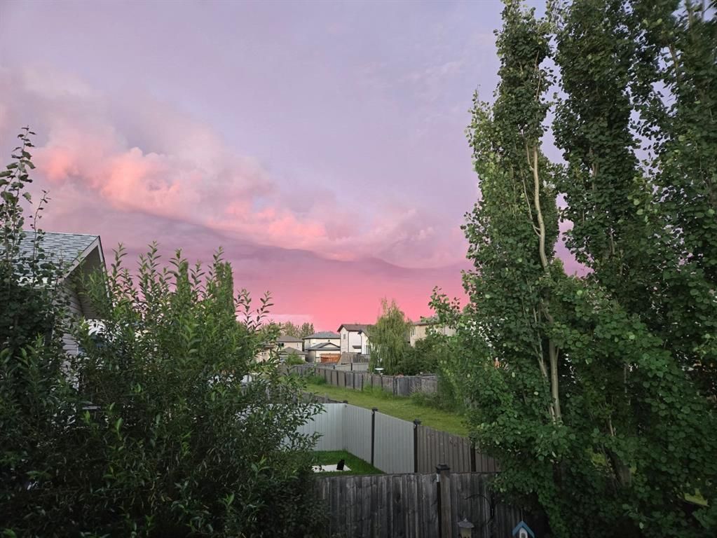 8725 65 Avenue  - Photo 27