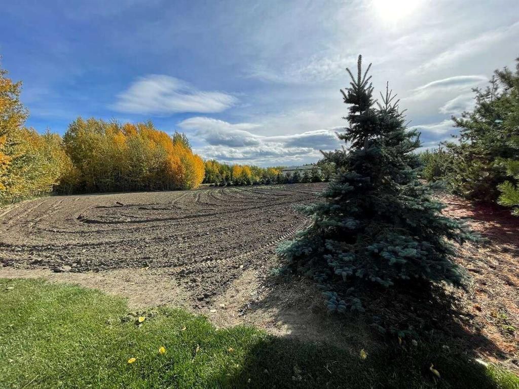  72030 Twp Rd 704A   - Photo 4