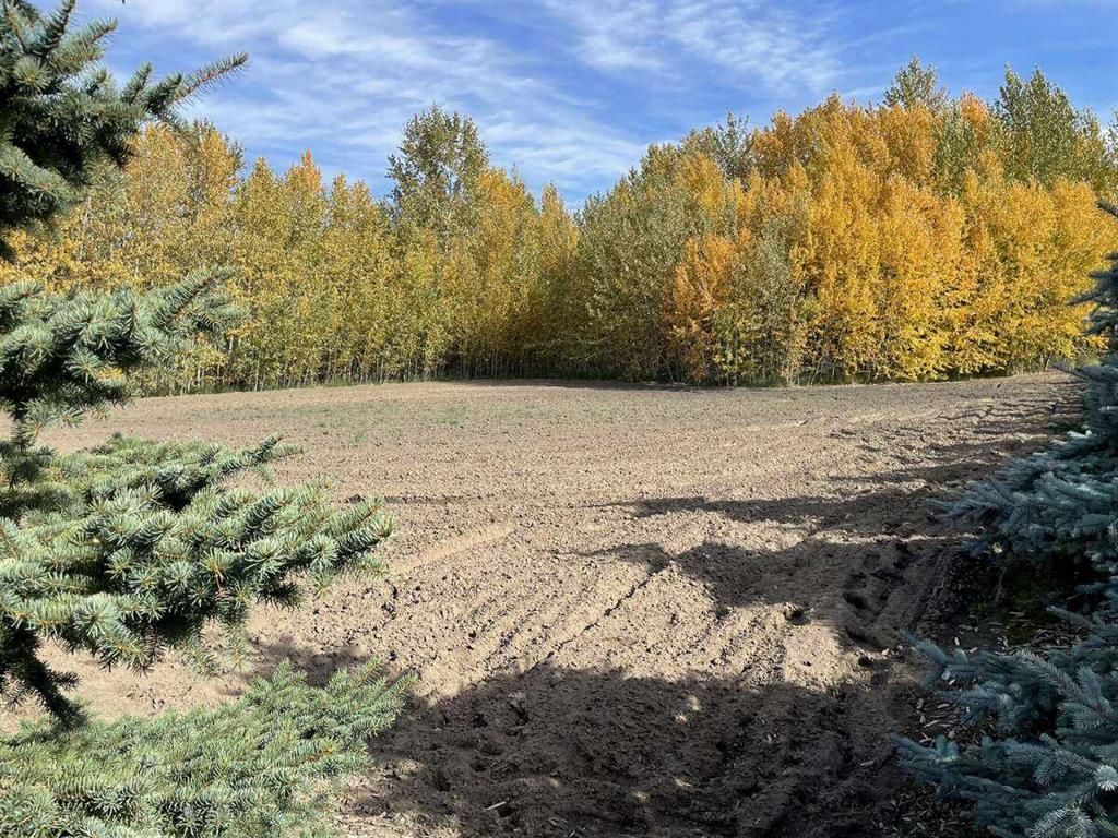  72030 Twp Rd 704A   - Photo 5