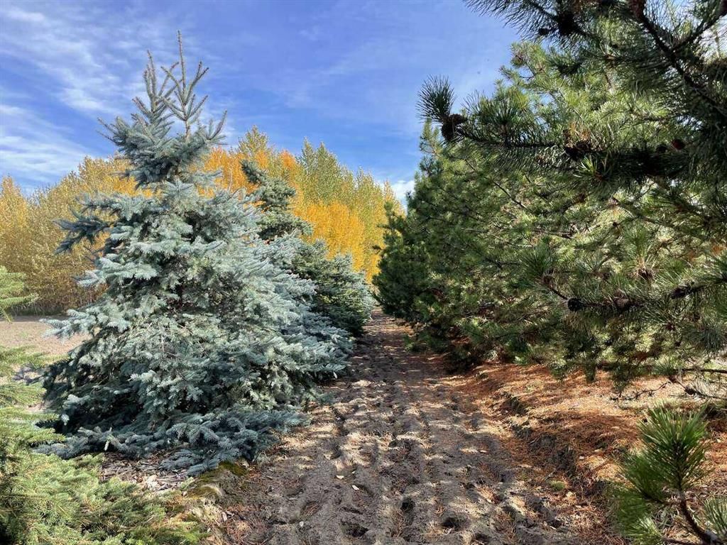  72030 Twp Rd 704A   - Photo 6