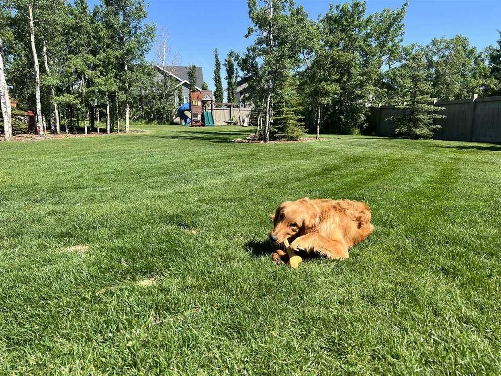 10522 101 Avenue  - Photo 23