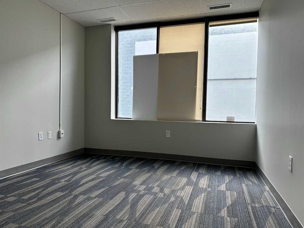 11419 98 Avenue   - Photo 11
