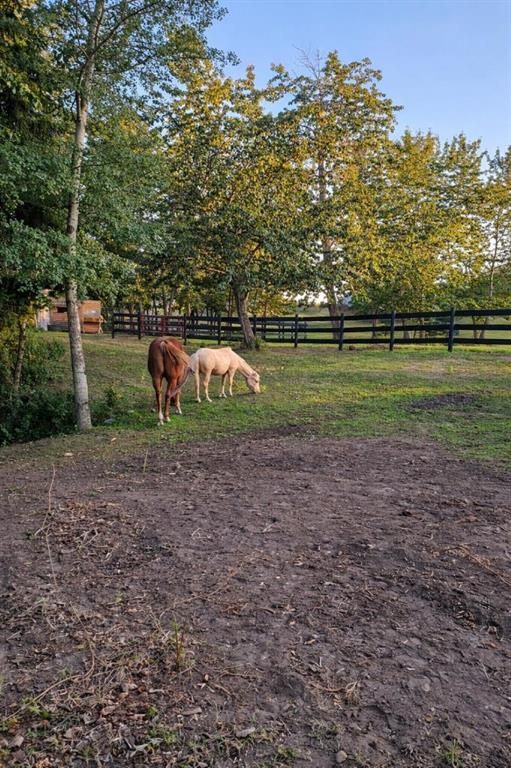 50047 774A Township  - Photo 50