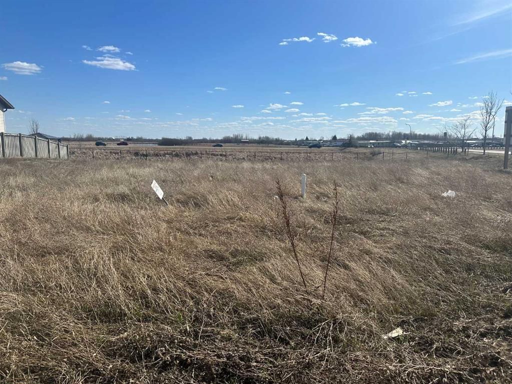 8621 102 Avenue  - Photo 3