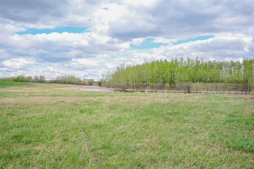 31050 43 Highway  - Photo 35