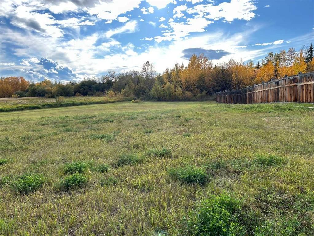 9033 59 Avenue  - Photo 3