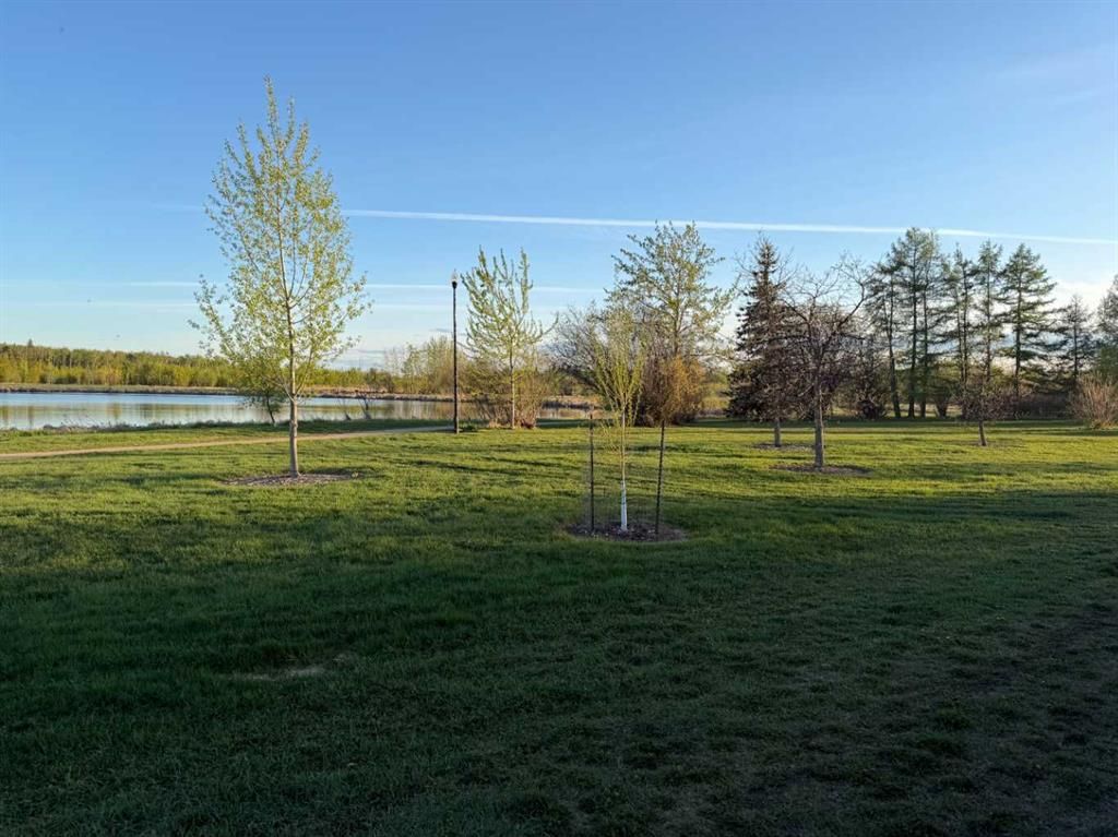 9033 59 Avenue  - Photo 7