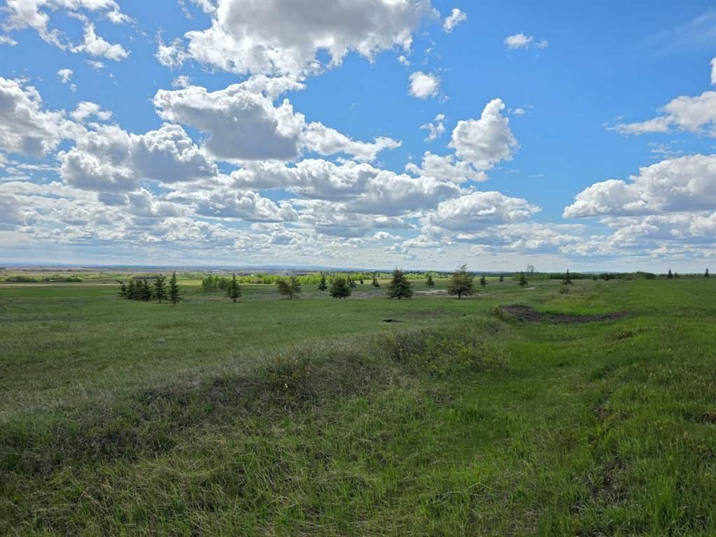 SE22-74-6-W6 62 Range Road  - Photo 3