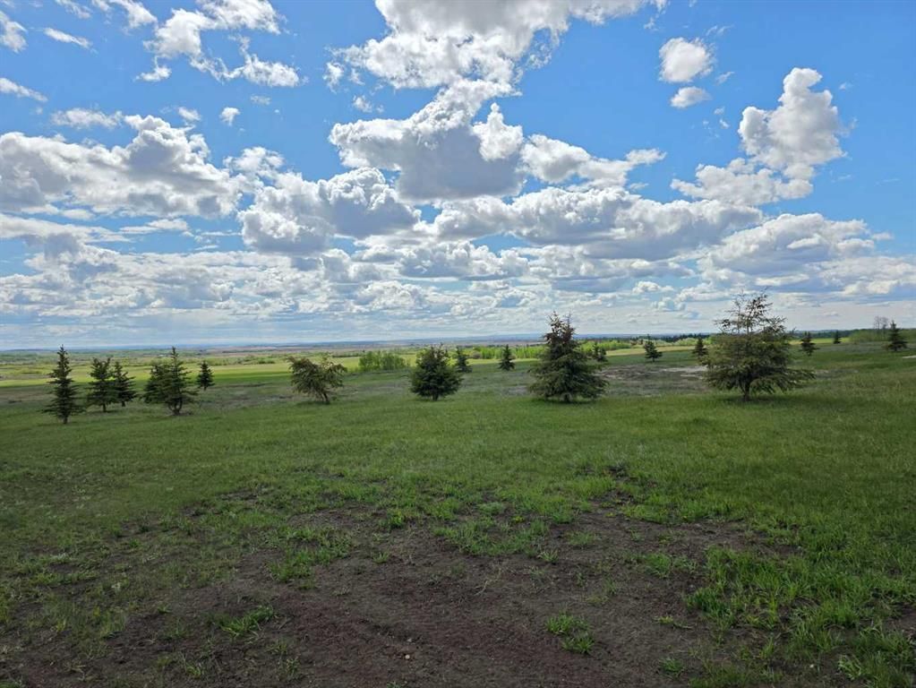 SE22-74-6-W6 62 Range Road  - Photo 7