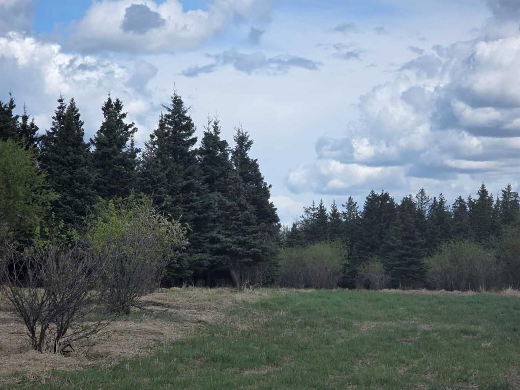 SW22-74-6-W6 63 Range Road - Photo 1