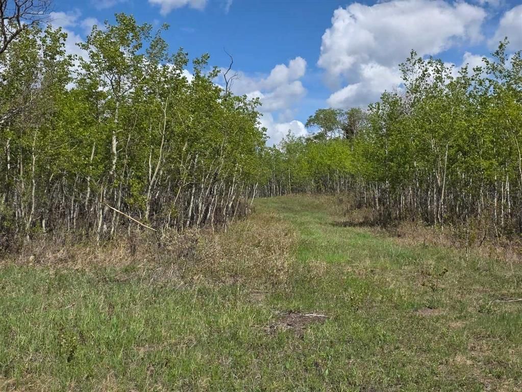 SW22-74-6-W6 63 Range Road  - Photo 3
