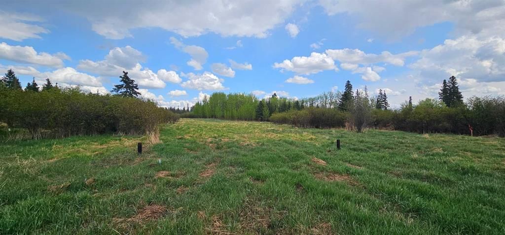 SW22-74-6-W6 63 Range Road  - Photo 4