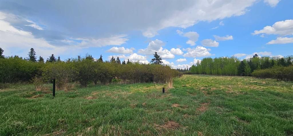 SW22-74-6-W6 63 Range Road  - Photo 5
