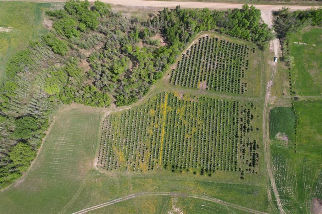 NE22-74-6-W6 62 Range Road  - Photo 6