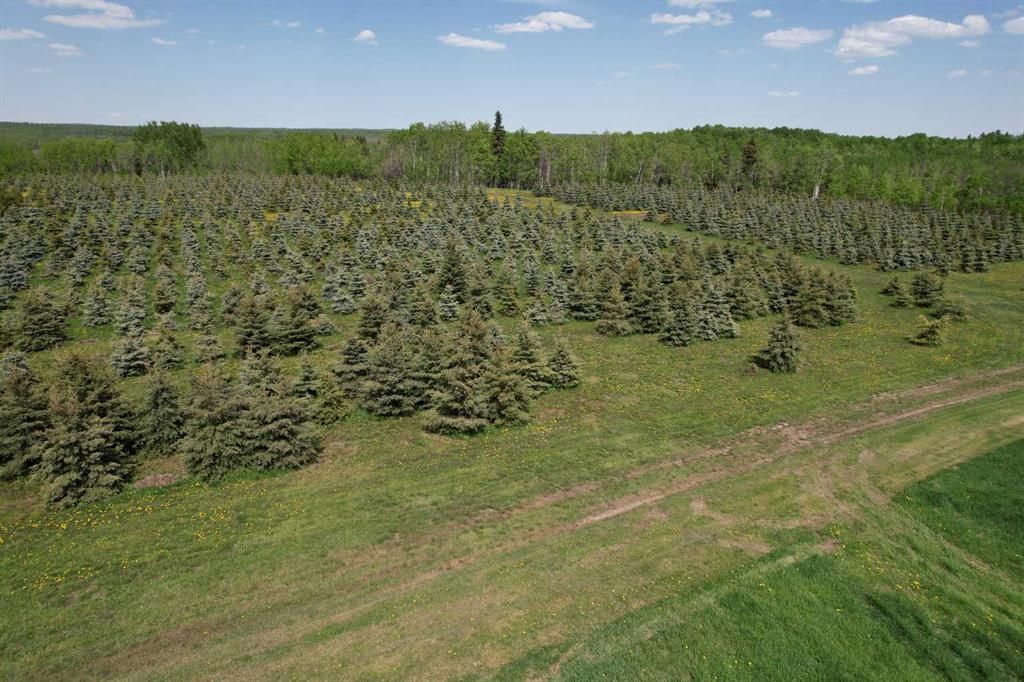 NE22-74-6-W6 62 Range Road  - Photo 8